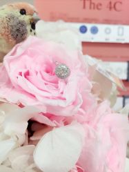 -钻石小鸟钻戒婚戒定制(石路店)