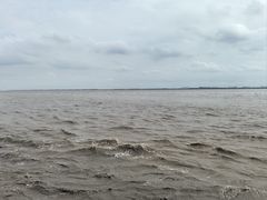 -观潮胜地公园