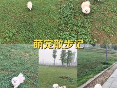 -青龙湖公园