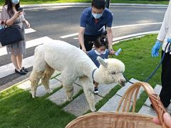 -南宁荔园维景国际酒店·荔园中餐厅