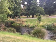 -Pedro's House of Lamb(基督城)