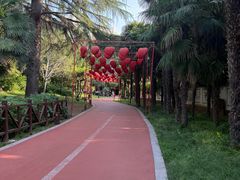 -西苑公园