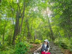 -五营红松林海景区