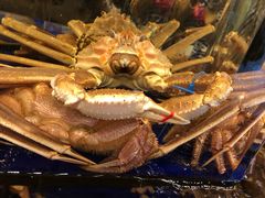 -蟹道乐(道顿堀本店)