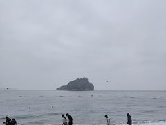 -棒棰岛宾馆景区