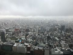 -东京都厅舍