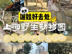 -上海野生动物园