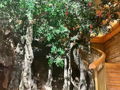 -阿斯牛牛·凉山菜(新会展店)