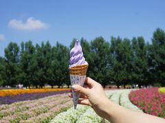 -富田农场