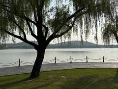 -上海月湖雕塑公园