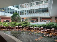 -香港大学