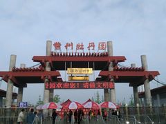 -曹州牡丹园