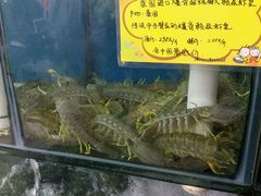 -蚝专家(北滘店)