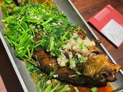香辣炝锅鱼-树厨贵州菜(大十字店)
