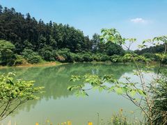 -青龙山国家森林公园