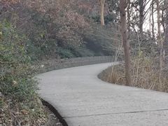 -头陀岭景区