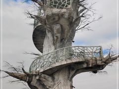 -芒洲湿地公园
