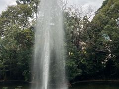 -九龙公园