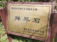 -紫金山山顶公园
