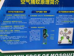 -成都市活水公园