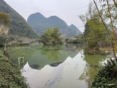 -靖西鹅泉风景区