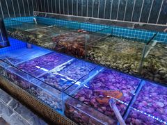 -海韵之星邮轮水会(明发商业广场店)