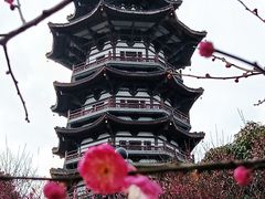-洋湖国家湿地公园