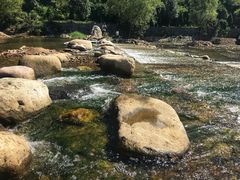 -白河湾生态旅游一条川