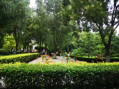 -莲花池公园
