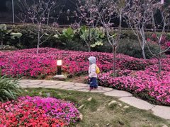 -狐尾山公园