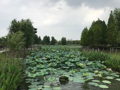 -董永七仙女文化园