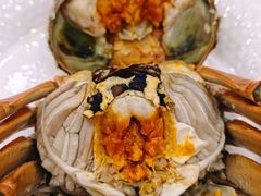 -蟹天蟹地农家菜·阳澄湖大闸蟹(浅水湾店)