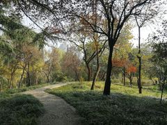 -西苑公园