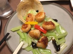 XO酱碧绿炒澳带-海口万豪中餐厅·粤菜·海南菜· 平价海鲜·茶点· KTV包房