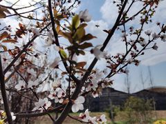 -中国天府农业博览园