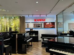 -柏斯琴行(汾阳店)