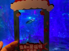 -沈阳海洋探索中心