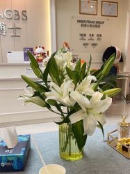 -静博士·养生养颜