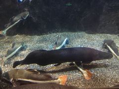 -太平洋海底世界