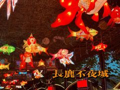 -长鹿旅游休博园