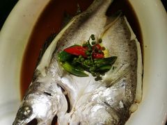 -绿茶餐厅(华联万柳店)