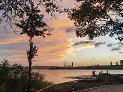-高子水居