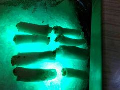 -探窝·竹笙椰子鸡(杨箕店)