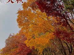 -北京西山国家森林公园