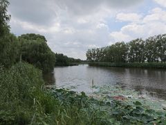 -白渔泡湿地公园