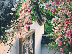 -深圳国际园林花卉博览园