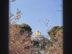-苏州上方山国家森林公园