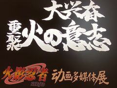 -火影忍者动画多媒体展