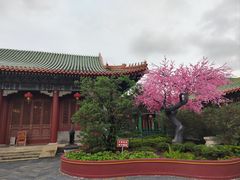-珠海圆明新园