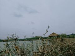 -西青郊野公园